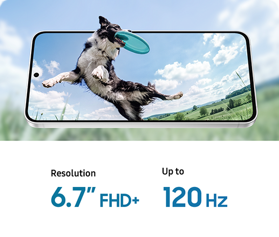 Front view of Galaxy S26 FE in landscape orientation and slightly tilted back. The display shows a dog catching a frisbee mid-air. The dog's head appears to extend beyond the edge of the screen, while the blurred background continues the image to emphasize the device's immersive display. Resolution 6.7 inch FHD+. Up to 120Hz.