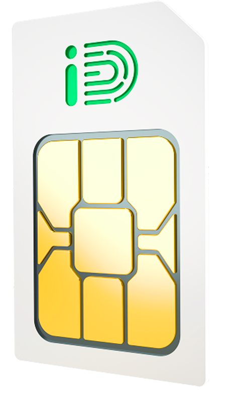 Summer Sim