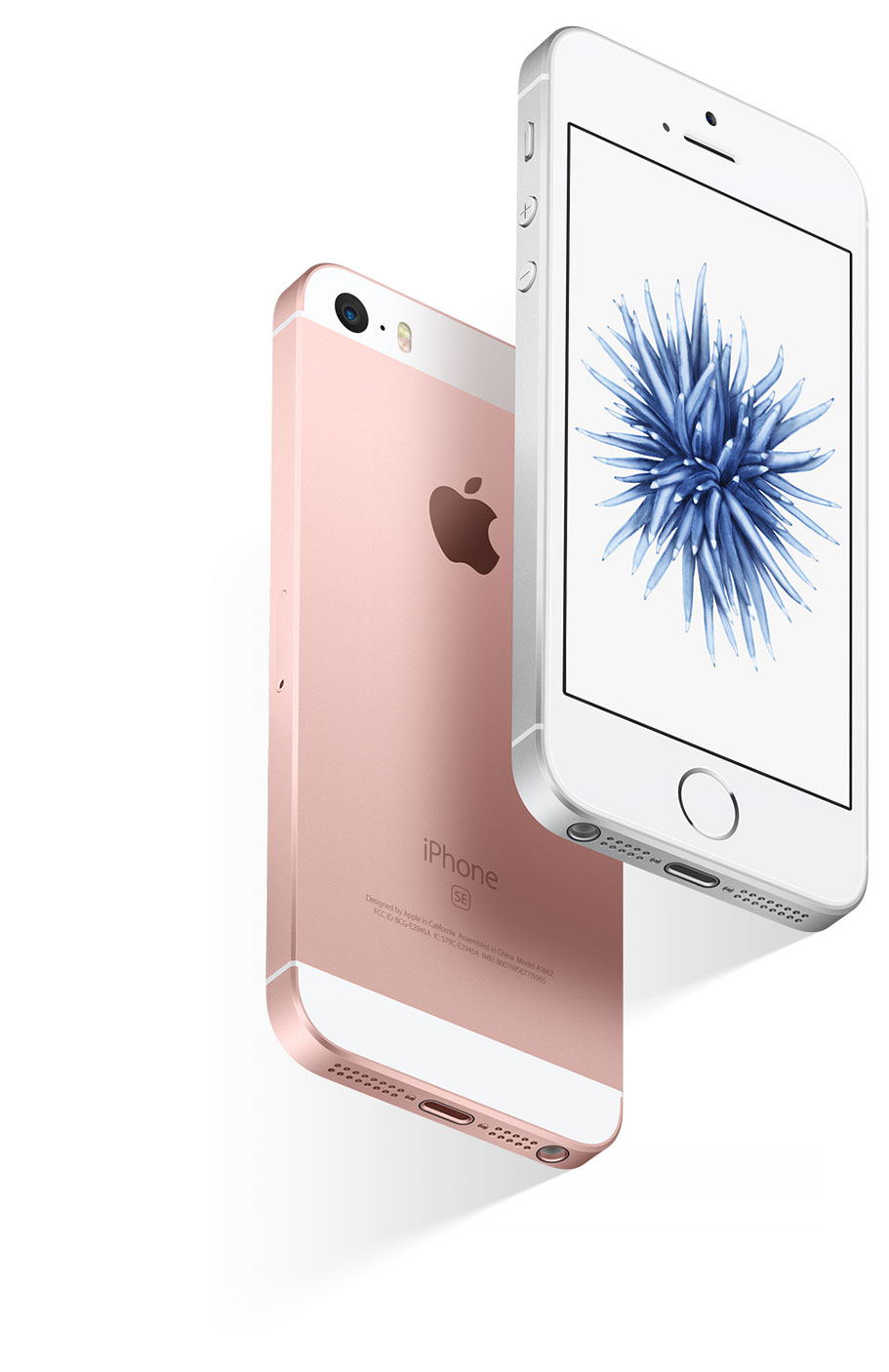 Apple iphone se что значит se