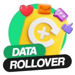 Data Rollover