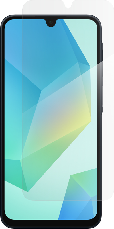 Screen Protector for A16 (Back)