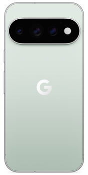 Google Pixel 11 Pro 256GB Fog