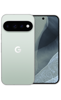 Google Pixel 11 Pro 256GB Fog