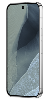 Google Pixel 11 Pro 256GB Fog