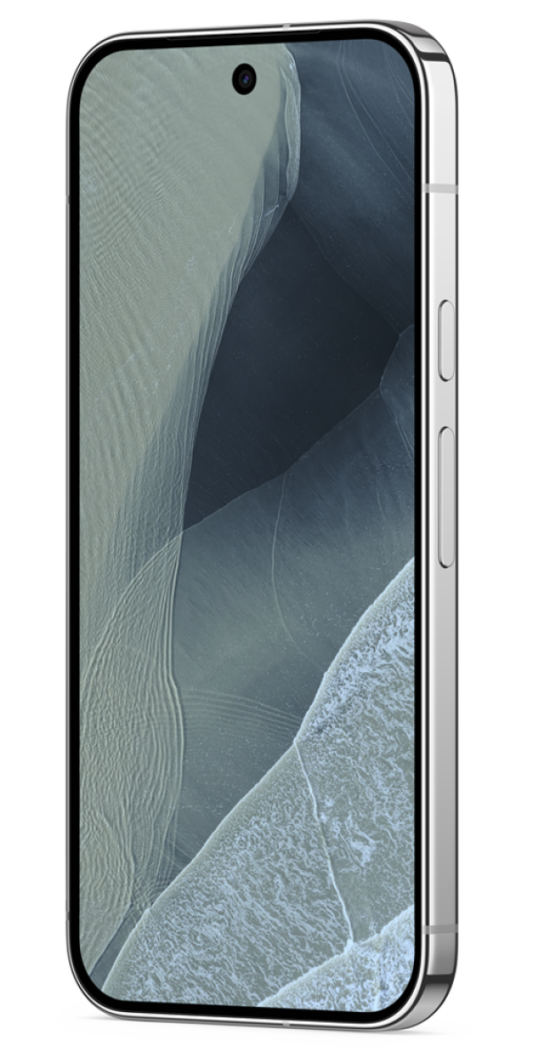 Google Pixel 11 Pro 512GB Fog