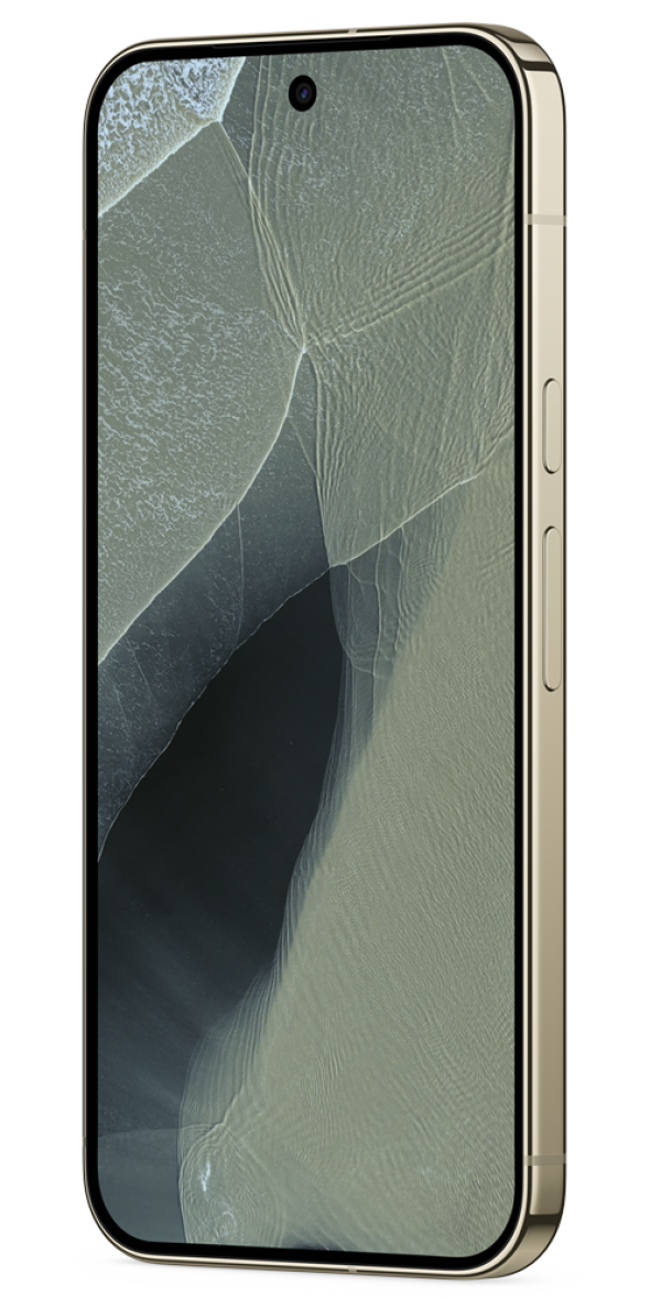 Google Pixel 11 Pro XL 256GB Olive