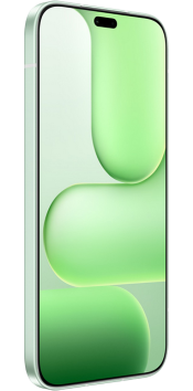 HONOR 600 Lite 256GB Green