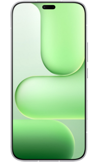 HONOR 600 Lite