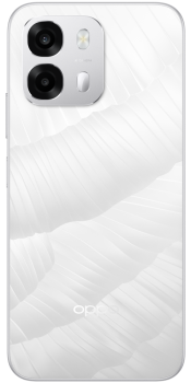 A6 Pro 5G 256GB Lunar Titanium (Back)