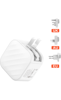 SilverLabel Dual Port Travel Plug