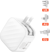 SilverLabel Dual Port Travel Plug