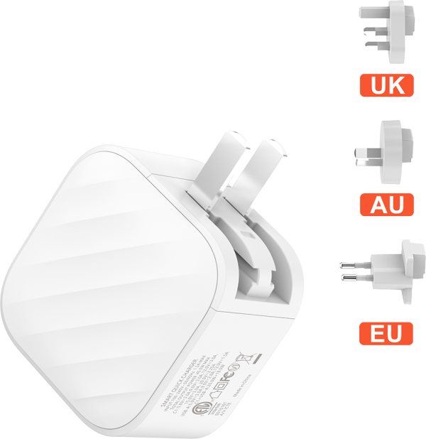 SilverLabel Dual Port Travel Plug