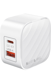 SilverLabel Dual Port Travel Plug