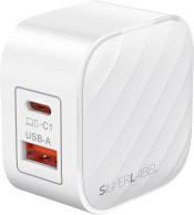 SilverLabel Dual Port Travel Plug