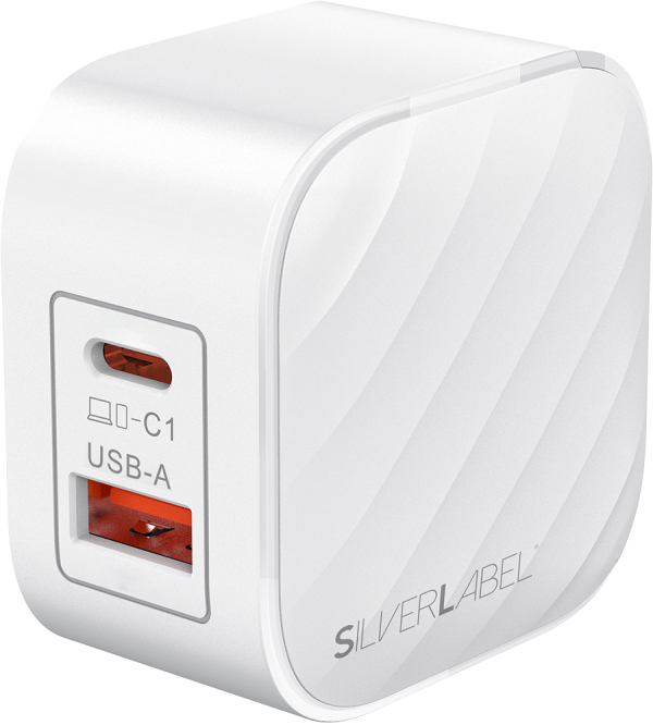 SilverLabel Dual Port Travel Plug