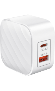 SilverLabel Dual Port Travel Plug