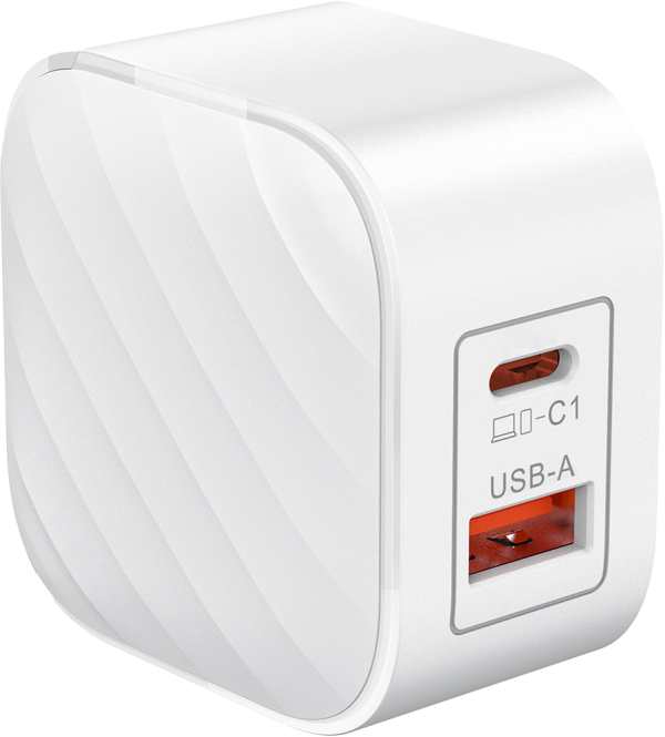 SilverLabel Dual Port Travel Plug