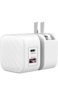 SilverLabel Dual Port Travel Plug