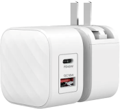 SilverLabel Dual Port Travel Plug
