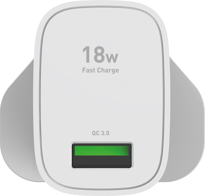 Charger and Lightning Cable Bundle