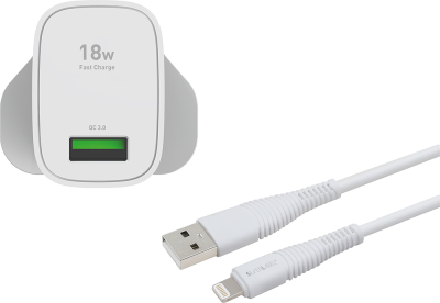 Charger and Lightning Cable Bundle