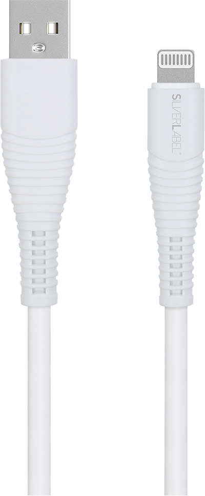 Charger and Lightning Cable Bundle