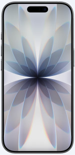 iPhone 17 256GB Black