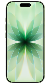 Apple iPhone 17 Refurbished
