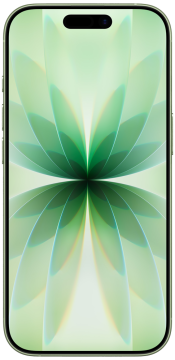 iPhone 17 256GB Sage Refurbished Excellent (Front)