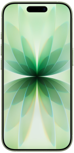 Apple iPhone 17 256GB Sage Refurbished Excellent