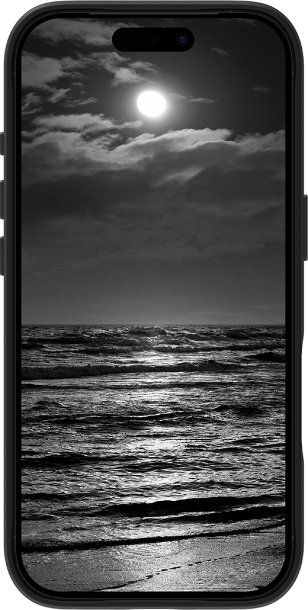 dbramante1928 Roskilde ICON - iPhone 17 Pro - Black