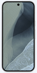 Pixel 11 Pro 256GB Fog