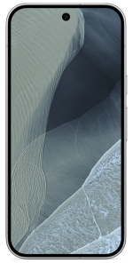 Google Pixel 11 Pro 256GB Fog