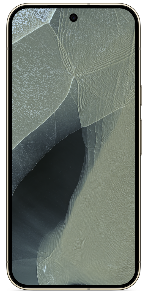 Google Pixel 11 Pro XL 256GB Olive