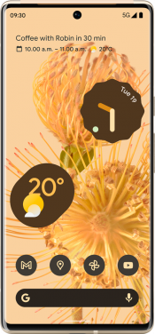 Pixel 6 Pro 128GB Sorta Sunny (Front)