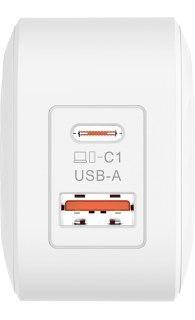 SilverLabel Dual Port Travel Plug