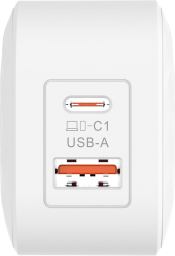SilverLabel Dual Port Travel Plug
