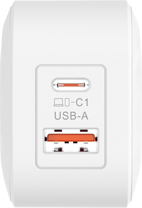 SilverLabel Dual Port Travel Plug