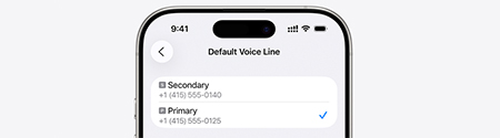 iPhone on eSIM settings