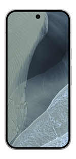 Pixel 11 Pro Fold