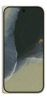 Pixel 11 Pro Fold